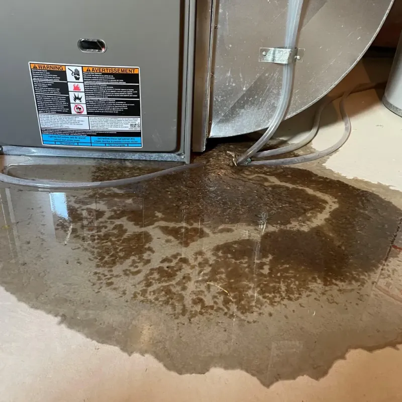 Appliance Leak Cleanup in East Cleveland, TN