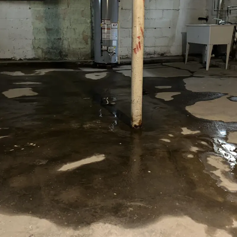 Emergency Water Extraction And Removal in East Cleveland, TN